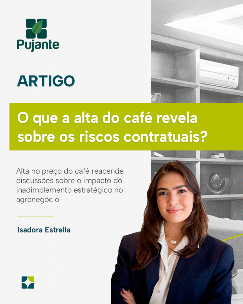 artigo isadora estrella